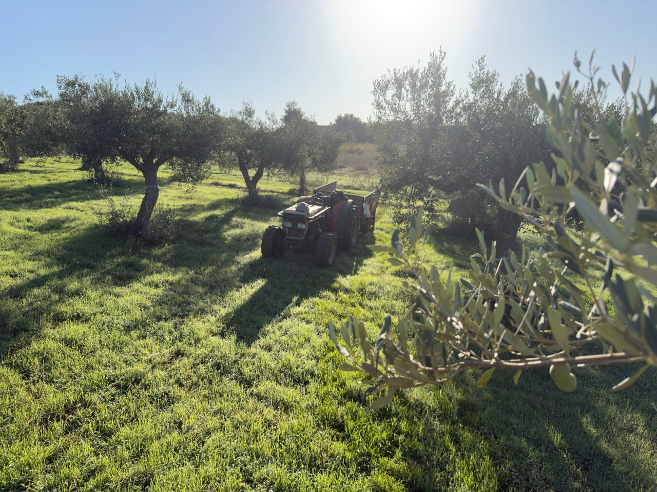 Die Pressemühle - Moderne Anlage bei der Arbeit